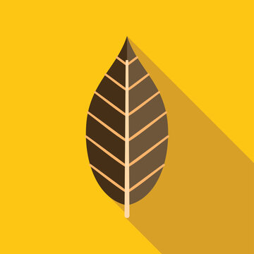 Concept representing autumn nature with a brown leaf and long shadow