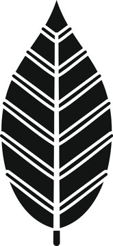 Stylized black leaf icon with white veins on a clean white background