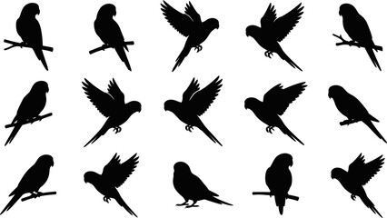 Fototapeta premium Black vector silhouettes depicting parrots in various flying and perching poses isolated on a clean white background for creative design