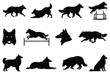 Obraz premium Croatian sheepdog vector silhouette collection isolated on white background