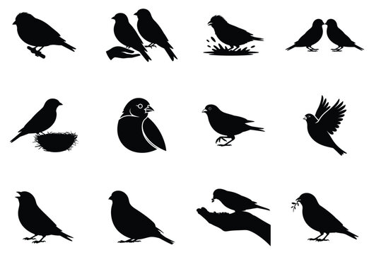 Gloster canary bird silhouette vector collection isolated on white background