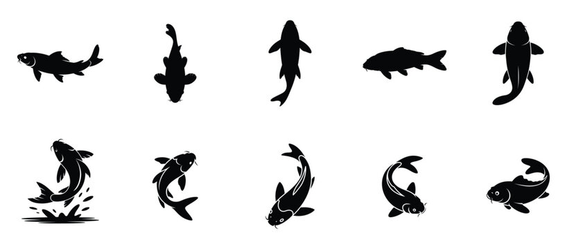 Koi fish silhouette vector collection isolated on white background