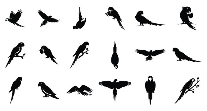 Macaw parrot silhouette vector collection isolated on white background