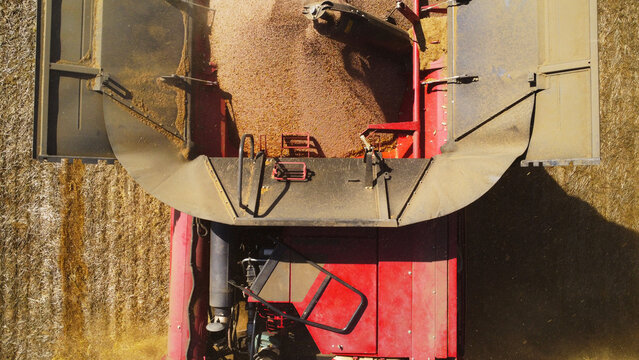 A high-angle top-down aerial drone photograph offering a close-up perspective of a red combine harvester's grain hopper filling with freshly threshed grain.