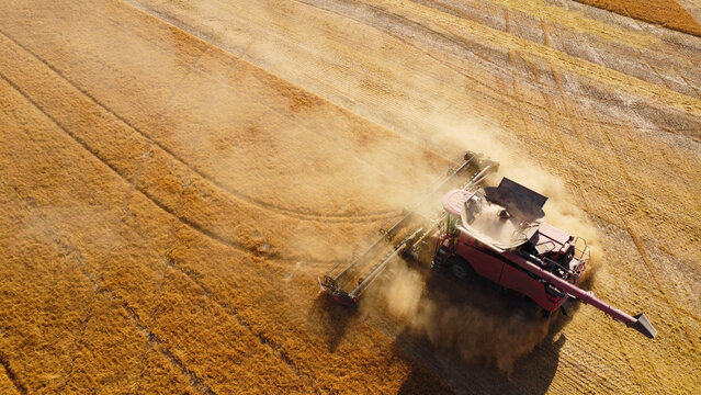 A high-angle top-down aerial drone photograph capturing a large red combine harvester kicking up a thick cloud of golden dust as it operates across a harvested grain field.