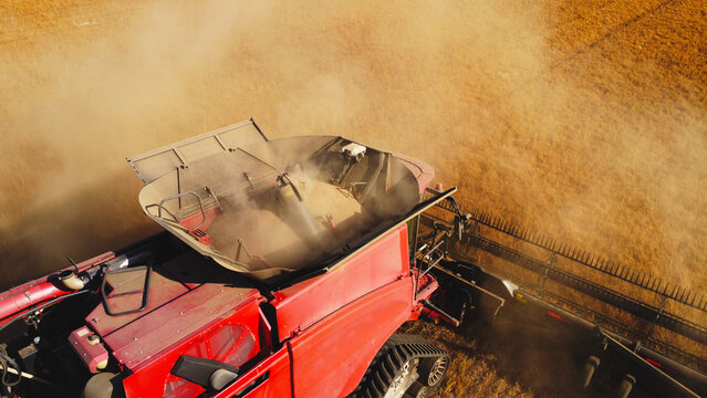 A high-angle top-down aerial drone photograph offering a close-up perspective of a red combine harvester's grain hopper filling with freshly threshed grain.