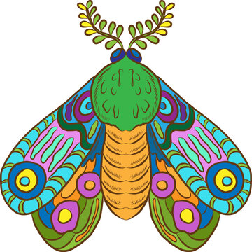 Intricate black and white line art illustration of a stylized luna moth featuring ornamental wings with abstract patterns and decorative leafy 