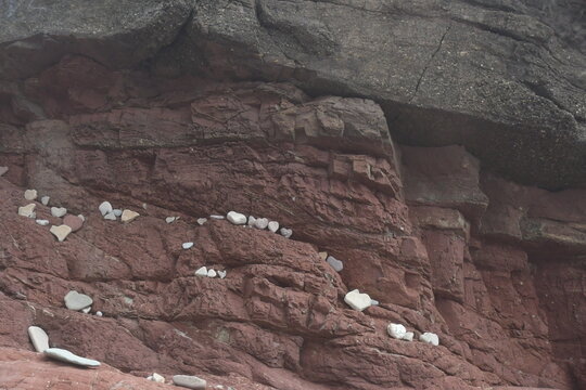 Heart shape stones on the cliffs, Dunmore East Cliff Walk, Co. Wexford, Ireland