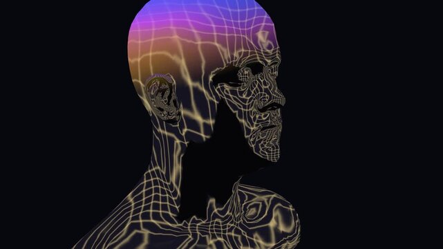 Thermal wireframe humanoid glows with rainbow gradient heat map shades in a meditative 3D animation ideal for biofeedback visuals and chillout dj sets