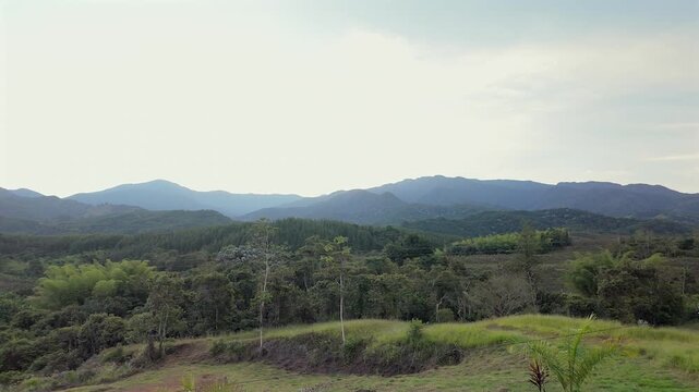 mountain landscape and lush green valley view in colombia