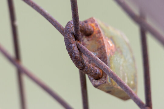 Rusted padlock securing old metal fence