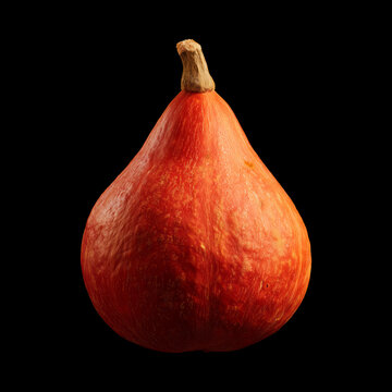 Red kuri squash pumpkin with cut slice stem isolated on black background with clipping path, autumn themes and decorations