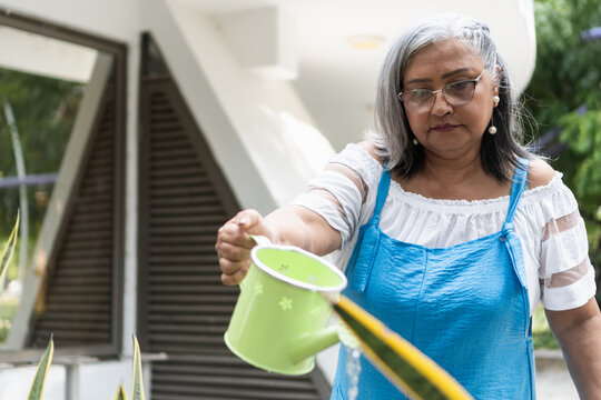 Senior woman watering green snake plants outdoors