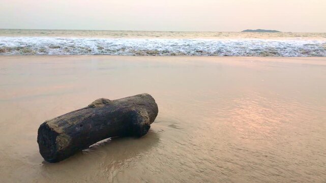 Sea waves crashing into wooden log on the beach during sunset