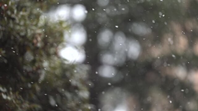fiocchi di neve in primo piano che cadono durante un'intensa nevicata in inverno, alberi su sfondo sfuocato con effetto bokeh