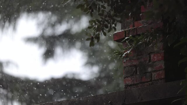 fiocchi di neve in primo piano che cadono su un tetto di una piccola struttura, durante un'intensa nevicata in inverno, alberi e cielo nuvoloso su sfondo sfuocato con effetto bokeh