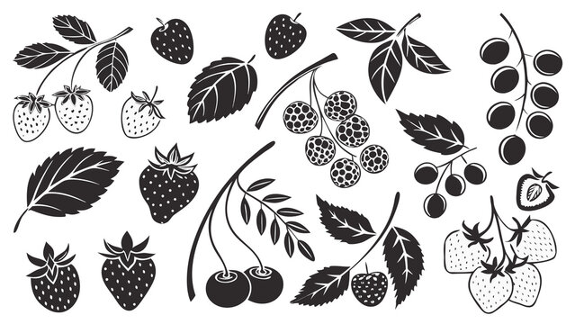 Autumn Leaves Collection Set of Colorful Fall Foliage Elements Botanical Nature Vector Illustration for Seasonal Decorative Design and Backgrounds
