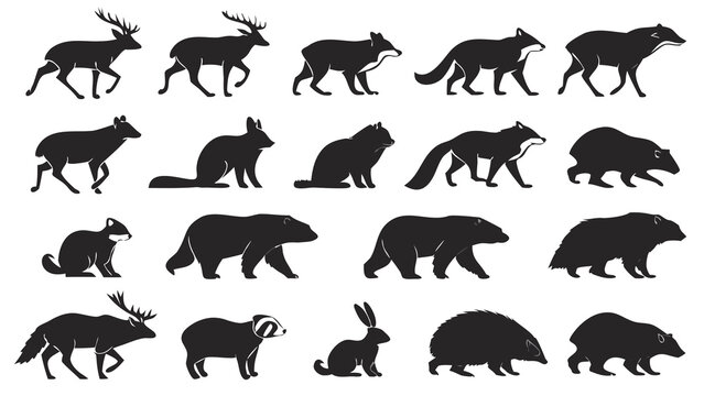 Wild Animals Silhouette Collection Set of Wildlife Animal Shapes for Nature, Safari, Forest and Decorative Design