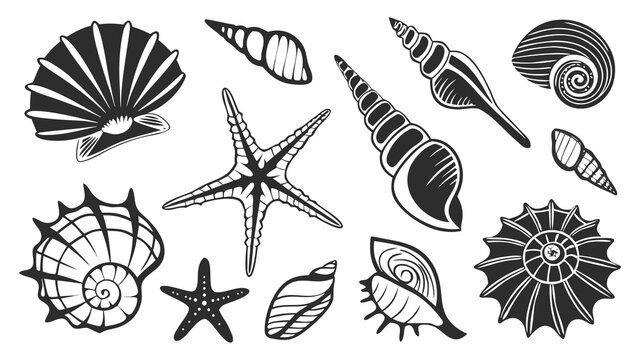 Set of Different Leaves and Plant Types Botanical Collection for Nature, Gardening, Ecology and Decorative Design
