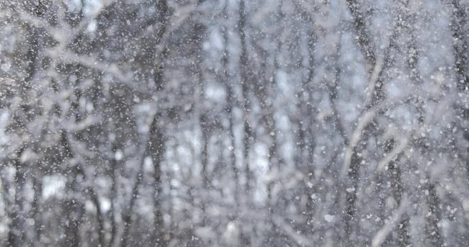 Winter landscape during snowfall. Winter Christmas abstract background on super slow motion.