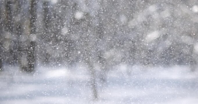 Winter landscape during snowfall. Winter Christmas abstract background on super slow motion.