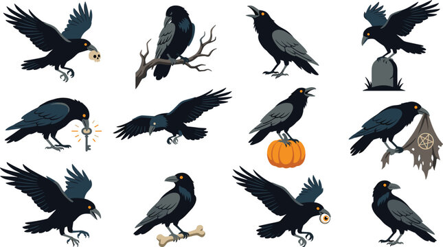 Set of spooky black ravens and crows in various poses with Halloween elements vector illustrations