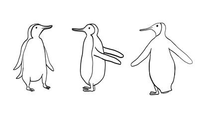 Obraz premium hand-drawn illustration of 3 penguin poses
