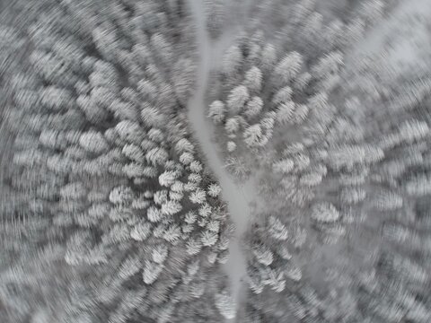 View from above of the fores full of snow in winter time. Carpathian Mountains, Romania