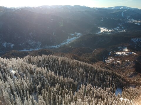 View from above of the fores full of snow in winter time. Carpathian Mountains, Romania