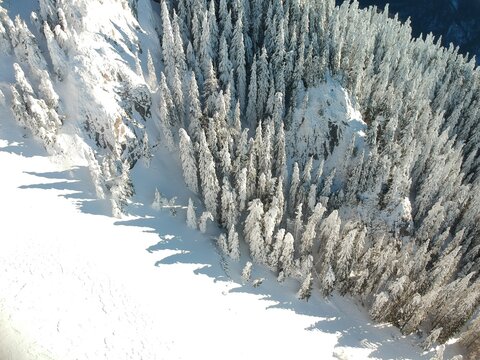 View from above of the fores full of snow in winter time. Carpathian Mountains, Romania