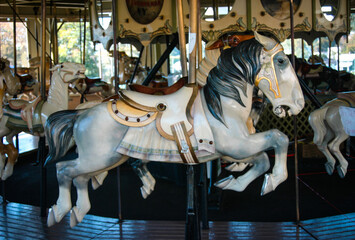 Merry-go-round horse © KFarnham