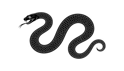 Obraz premium Black and white illustration of a coiled snake with scales and an open mouth showing fangs