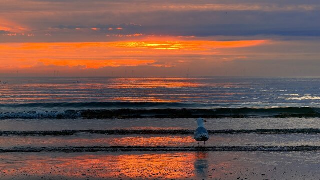 sunset on the beach of Haag