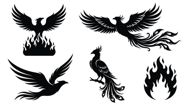 Phoenix bird and fire flame set featuring various poses of a mythical phoenix rising from ashes and stylized fire