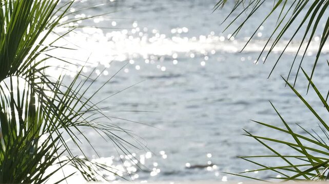 Palm fronds framing shimmering ocean water with sun reflections and bokeh