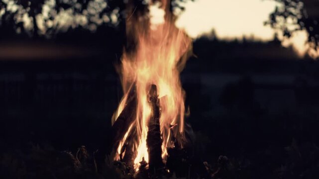 Bright Bonfire Flaming In Dusk Forest Environment 