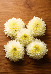 Fototapeta premium Floral arrangement and natural beauty, five yellow chrysanthemum flowers on a rustic wooden background, top view