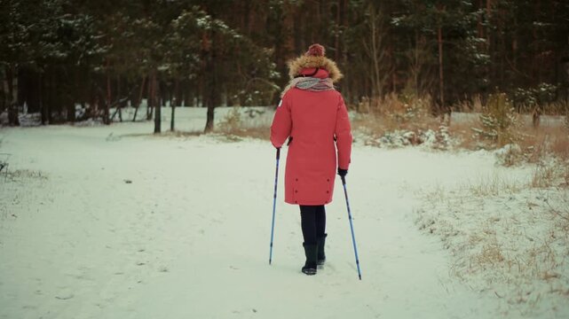 Hiker Walking With Trekking Poles On Snowy Path In Winter Forest