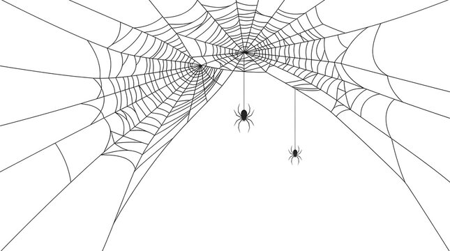 A high contrast black and white spider web illustration creating a spooky halloween background perfect for festive holiday designs and scary themed party invitation card