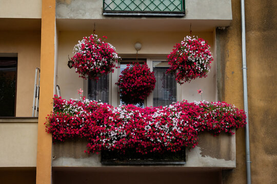 A Balcony with decorative flowers