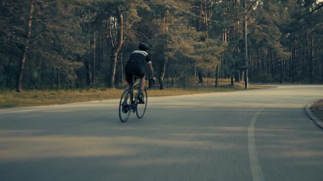 Cyclist Training On Road Bicycle Along Asphalt Road In Forest Park