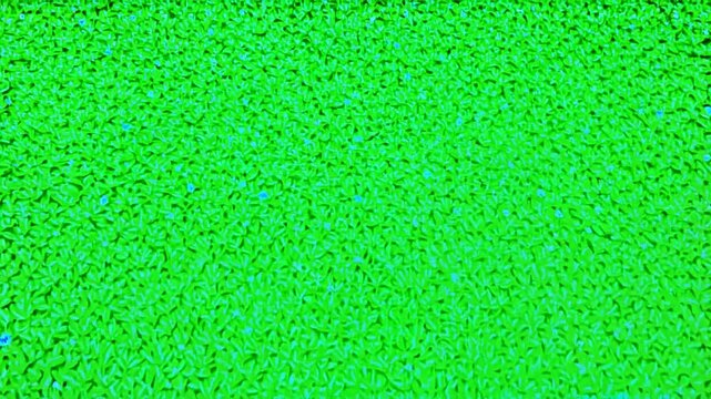 Vibrant green textured surface with tiny particles creating a lively and energetic atmosphere