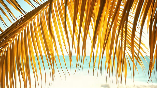 Sun-bleached palm fronds over white sand, vintage toned beach with film distress flare.