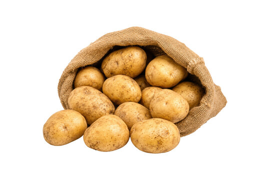 Fresh whole potatoes spilling from a rustic burlap sack, isolated on a clean white background. Natural golden-brown potato skins with subtle soil marks and organic surface imperfections, ideal for agr