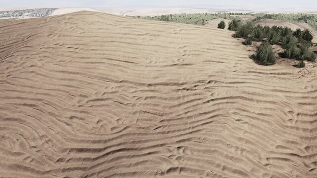 Brown sand with smooth patterns stretches across the ground. Small green plants are present at the edge of the sandy area. The sun is out, and the scenery shows a dry environment.