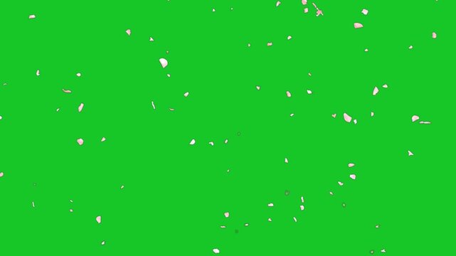 Falling pink rose petals green screen motion graphics