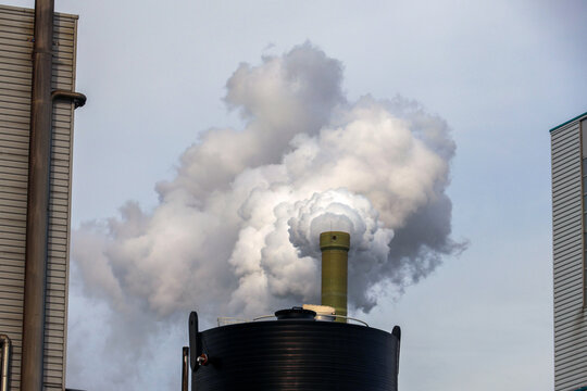 Smoke from chimny of editible oil refinery of Oline at Botlak Harbor