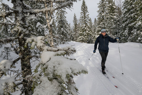 Female skier skiing on snow covered land in winter forest