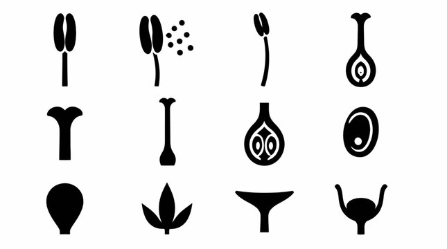 Botanical icons of flower reproductive structures.