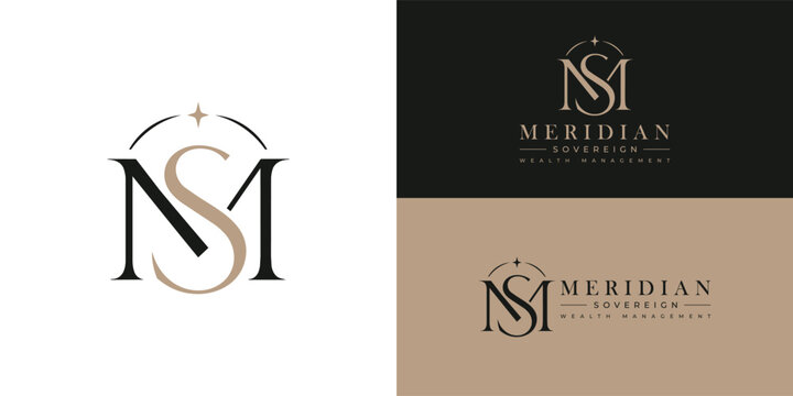 Elegant interlocking 'MS' monogram logo in a black-and-gold serif font. A golden four-pointed star and black arch sit above, symbolizing quality and guidance. Designed for financial services.
